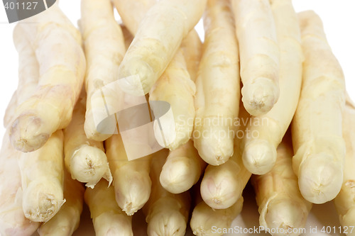 Image of White asparagus
