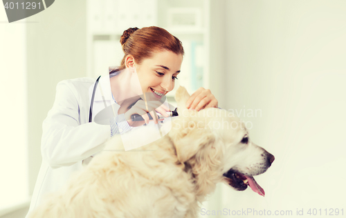 Image of happy doctor with otoscope and dog at vet clinic