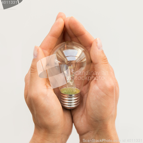 Image of close up of hands holding edison lamp or lightbulb