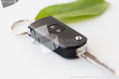 Image of close up of car key and green leaf