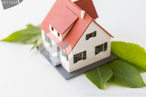 Image of close up of house model and green leaves