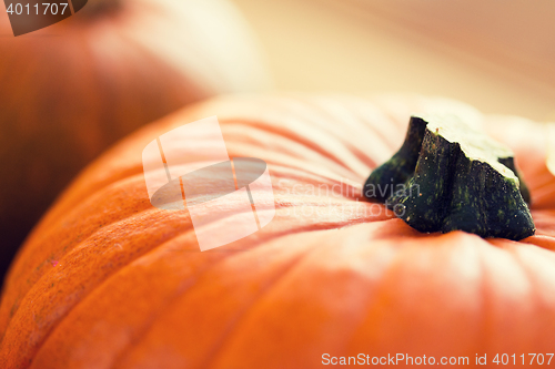 Image of close up of pumpkins