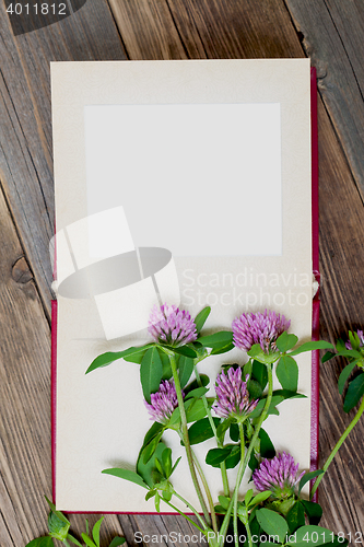 Image of blank photo album and clover flowers