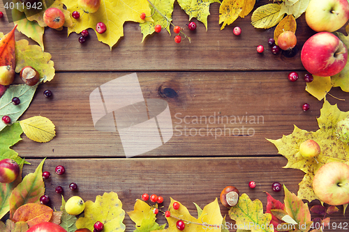 Image of frame of autumn leaves, fruits and berries on wood