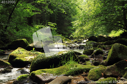Image of river in the czech forest