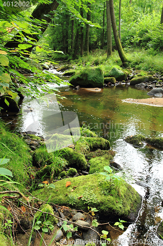 Image of river in the czech forest