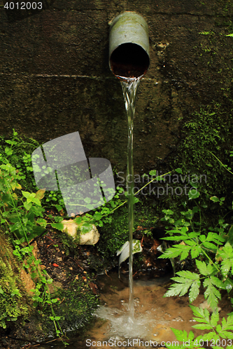 Image of spring of water