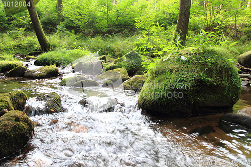 Image of river in the czech forest