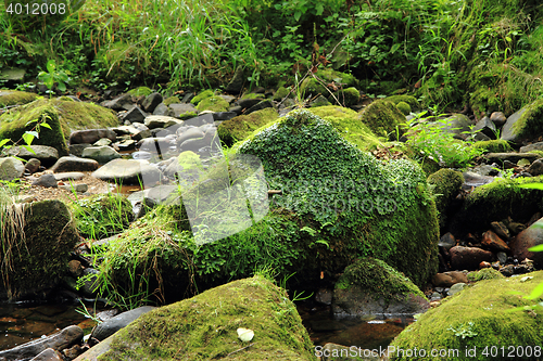 Image of river in the czech forest