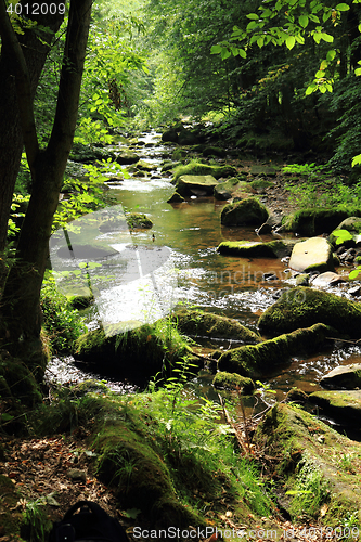 Image of river in the czech forest
