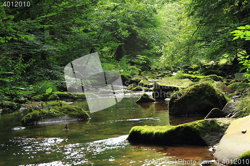 Image of river in the czech forest