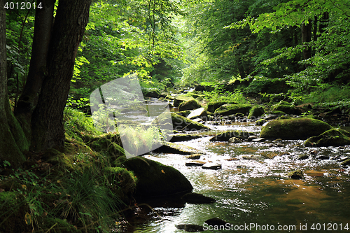 Image of river in the czech forest