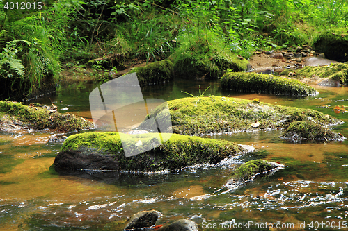 Image of river in the czech forest