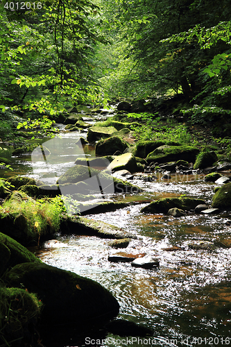 Image of river in the czech forest