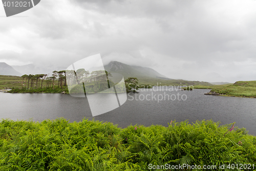 Image of view to island in lake or river at ireland