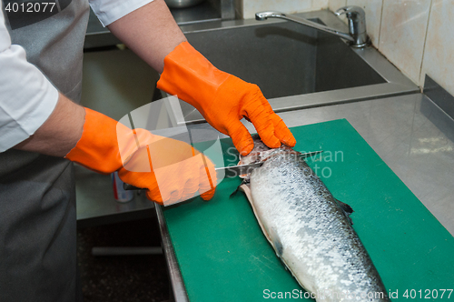 Image of cutting salmon fish