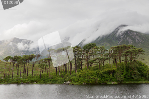 Image of view to island in lake or river at ireland