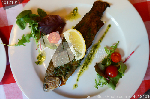 Image of grilled trout fish