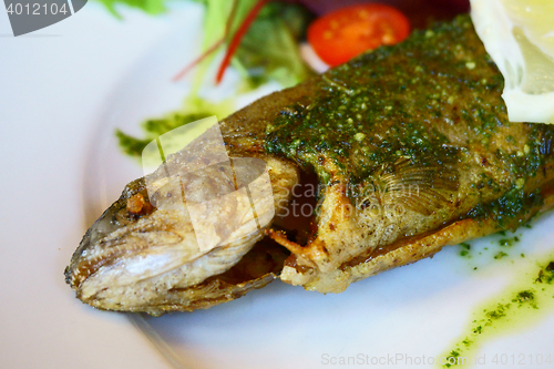 Image of grilled trout fish