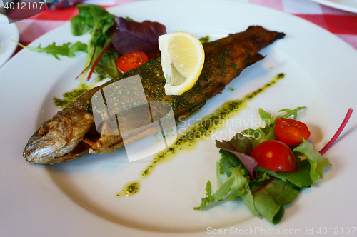 Image of grilled trout fish