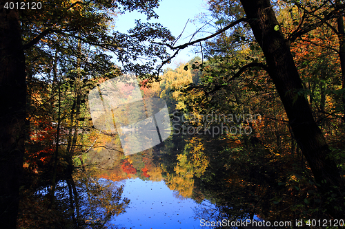 Image of slow autumn river