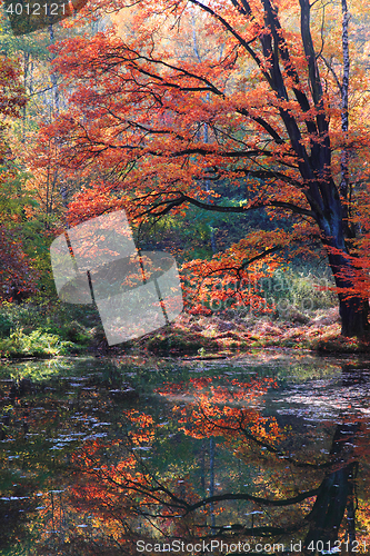 Image of slow autumn river