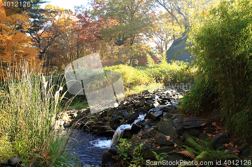 Image of small autumn brooklet