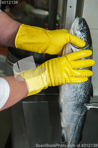 Image of cleaning salmon fish