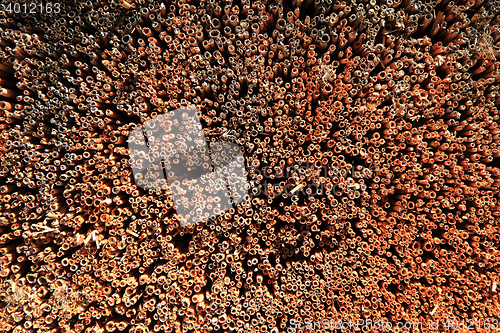 Image of abstract straw texture