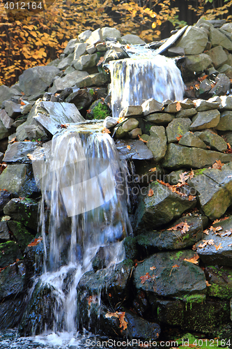 Image of small autumn brooklet