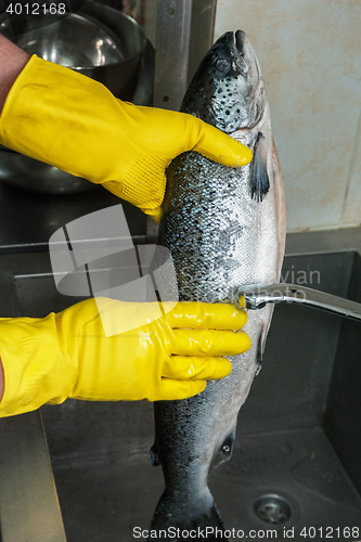 Image of cleaning salmon fish