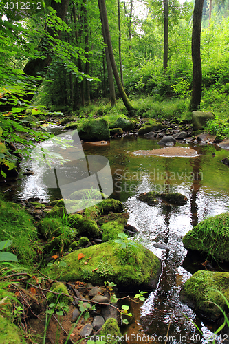 Image of river in the czech forest