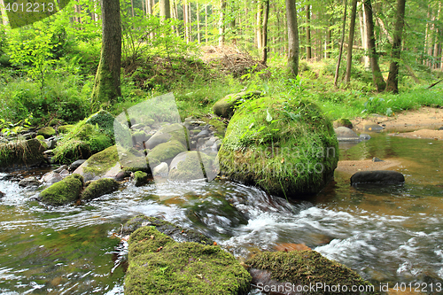 Image of river in the czech forest