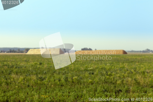 Image of stack of wheat straw