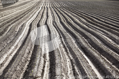 Image of plowed field, furrows