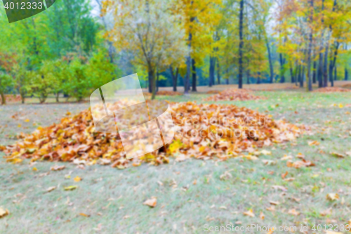 Image of autumn in the park