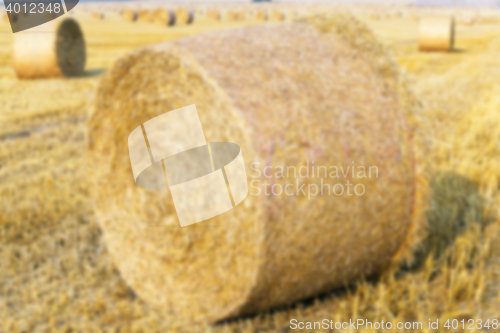 Image of haystacks in a field of straw