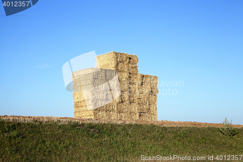 Image of stack of wheat straw