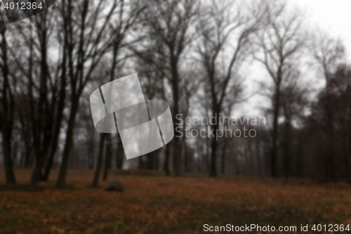 Image of Autumn Park, overcast