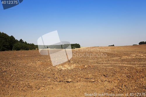 Image of plowed agricultural field