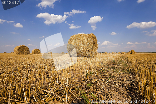 Image of Stack of straw