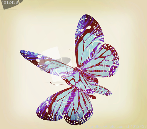 Image of Butterfly. 3D illustration. Vintage style.