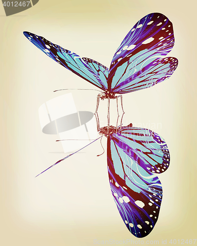 Image of Butterfly. 3D illustration. Vintage style.