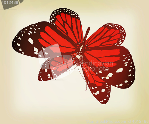 Image of Butterfly. 3D illustration. Vintage style.