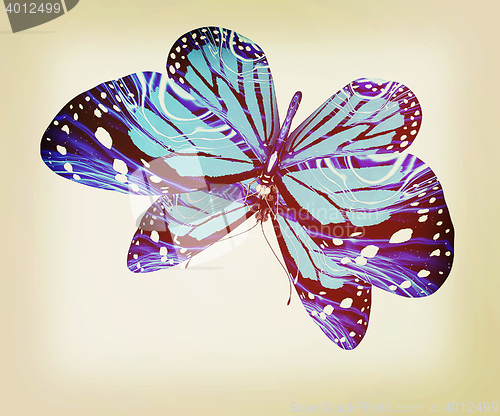 Image of Butterfly. 3D illustration. Vintage style.