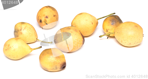 Image of pears on white