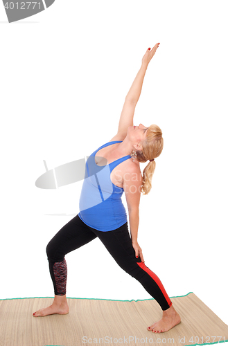 Image of Yoga trainer showing poses.