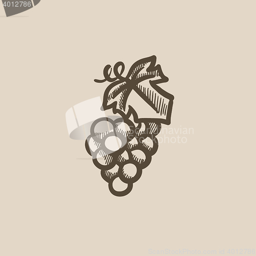 Image of Grape sketch icon.