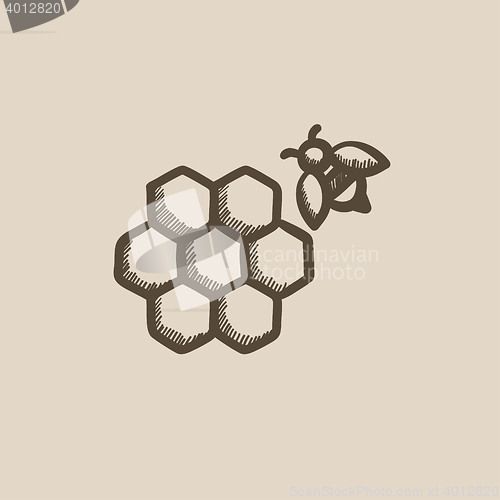 Image of Honeycomb and bee sketch icon.