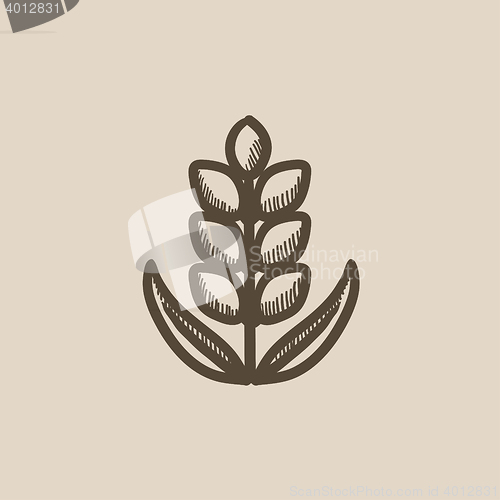 Image of Wheat sketch icon.